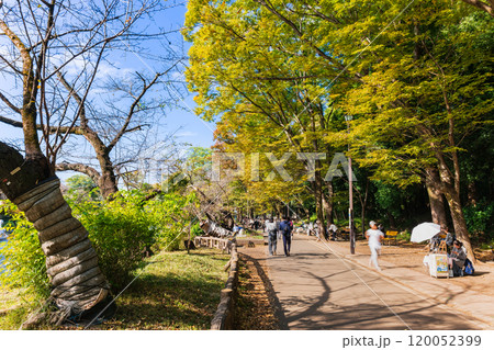 吉祥寺 秋の休日の井の頭公園 吉祥寺 秋の休日の井の頭公園 120052399