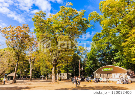 吉祥寺　秋の休日の井の頭公園 120052400