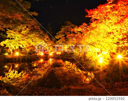秋の紅葉、紅葉のライトアップ 120052592