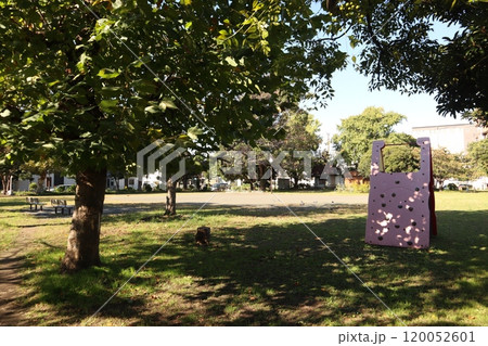 神奈川県川崎市 小島新田公園 神奈川県川崎市 小島新田公園 120052601