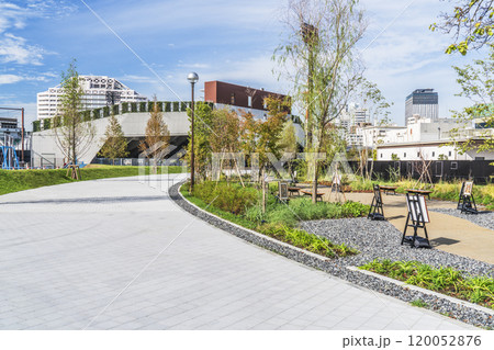 川崎・富士見公園の風景【神奈川県・川崎市】 120052876