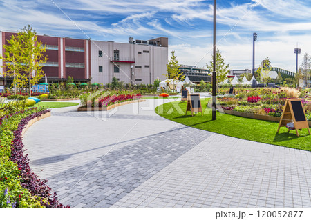 川崎・富士見公園の風景【神奈川県・川崎市】 120052877