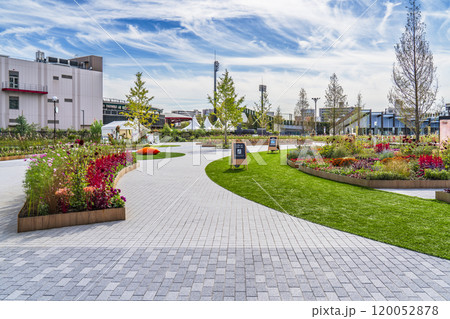 川崎・富士見公園の風景【神奈川県・川崎市】 120052878