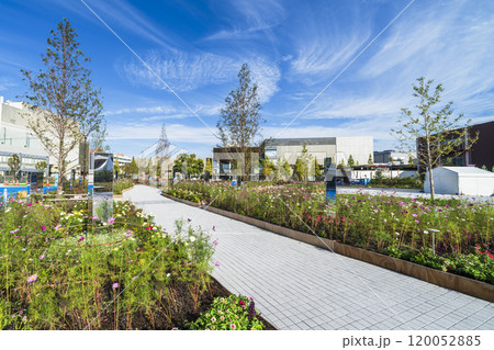 川崎・富士見公園の風景【神奈川県・川崎市】 120052885
