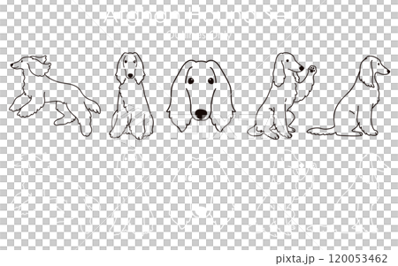 Simple and cute Afghan hound line drawing set Simple and cute Afghan hound line drawing set 120053462