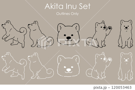 シンプルで可愛い秋田犬の線画セット 120053463