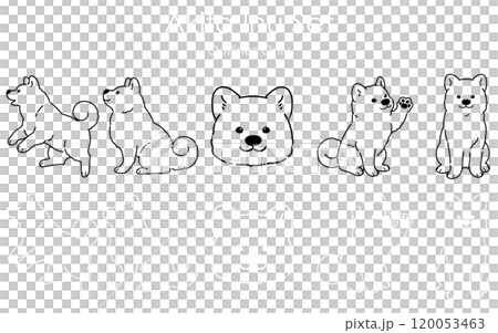 簡單可愛的秋田犬線條畫套裝 120053463