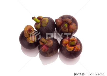 mangosteen isolated on white background 120053783