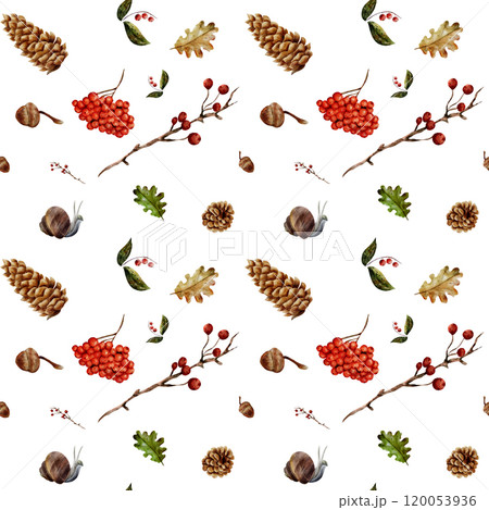 Seamless pattern. Pinecone, rowan, acorn, twigs, leaves, snail. Watercolor set of fall elements in realistic style on white background. Hand drawn. For cards, invitations, design 120053936