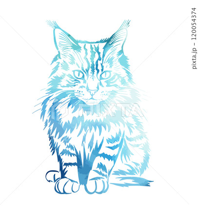 Beautiful blue cat. Maine Coon cat. hand drawing. Not AI, Vector illustration 120054374