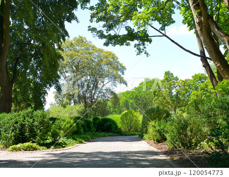 Beautiful meadow with footpath in beautiful summer park 120054773