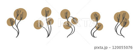 Minimal botanical hand drawing design. Vector illustration 120055076