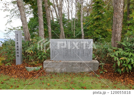 札幌藻岩山の山頂にある藻岩原始林の碑 120055818