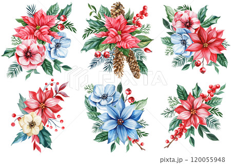 Watercolor Christmas flowers arrangements with holly berries branches and leaves isolated white background, Winter set 120055948