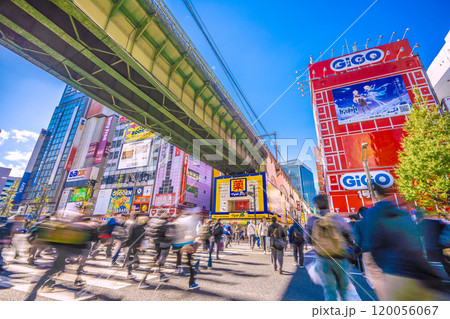日本の東京都市景観 11月。インバウンド続く…脅威の人流…外国人観光客らで賑わう秋葉原＝9日 120056067