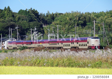 山陰本線の直線区間を高速で駆け抜けるサンライズ出雲号と線路沿いの圃場で陽の光を浴びて靡く芒の長い行列 山陰本線の直線区間を高速で駆け抜けるサンライズ出雲号と線路沿いの圃場で陽の光を浴びて靡く芒の長い行列 120056084