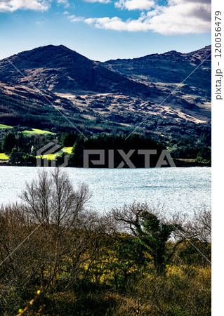 The tranquil lake reflects surrounding greenery and distant hills under a bright sky, showcasing the tranquility of nature in this idyllic setting. 120056479