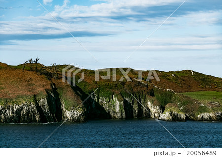Coastal cliff landscape with rugged rocks and trees near the water during daylight at a scenic location. 120056489