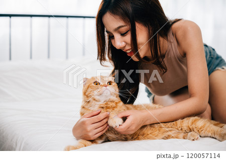 On the bed in their room, a woman and her Scottish Fold cat enjoy a moment of togetherness, exemplifying the special bond between owner and pet. Pat love On the bed in their room, a woman and her Scottish Fold cat enjoy a moment of togetherness, exemplifying the special bond between owner and pet. Pat love 120057114