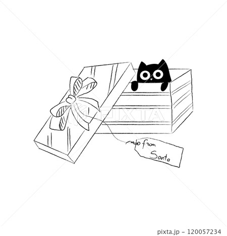 A cute sketch of a black cat in a Christmas present box. Black and white xmas illustration. 120057234
