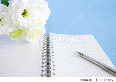 青い背景と白い花　開いたノートの素材 120057465