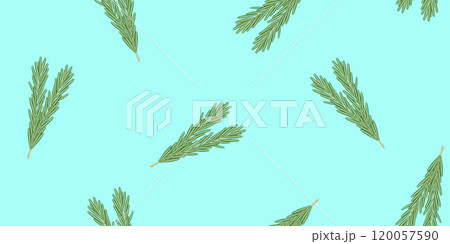 Fresh branches of rosemary on blue background, seamless pattern vector Fresh branches of rosemary on blue background, seamless pattern vector 120057590