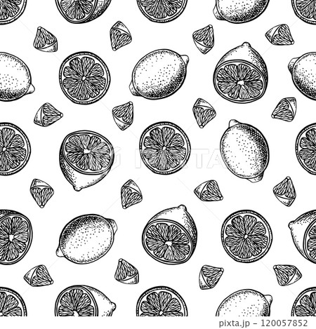 Seamless pattern with lemons, whole, cut, halves and slices. Vector graphic illustration of citrus fruits. Black and white hand drawn image. On a white background. For labels, packages, textiles. 120057852