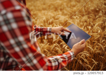 Tablet in the hands of a farmer. Smart farm. Farmer checking his crops on field. Tablet in the hands of a farmer. Smart farm. Farmer checking his crops on field. 120057913