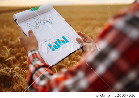 Tablet in the hands of a farmer. Smart farm. Farmer checking his crops on an agricultural field. Tablet in the hands of a farmer. Smart farm. Farmer checking his crops on an agricultural field. 120057916