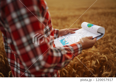 Tablet in the hands of a farmer. Smart farm. Farmer checking his crops on an agricultural field. Tablet in the hands of a farmer. Smart farm. Farmer checking his crops on an agricultural field. 120057917