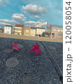 住宅街に舞い降りた紅葉と青空 120058054