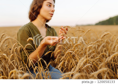 Woman farmer works in a ripe wheat field and inspects the crop. Agricultural management. 120058133