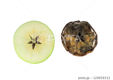 apple green dry rotten isolated white background 120058312