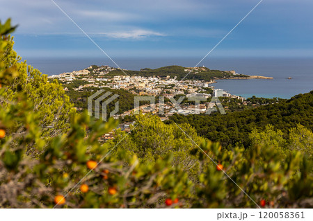 Panoramic view to the seaside resorts Cala Lliteras, Cala Rajada and Son Moll, districts of the town of Capdepera, Mallorca, Balearic Islands, Spain Panoramic view to the seaside resorts Cala Lliteras, Cala Rajada and Son Moll, districts of the town of Capdepera, Mallorca, Balearic Islands, Spain 120058361