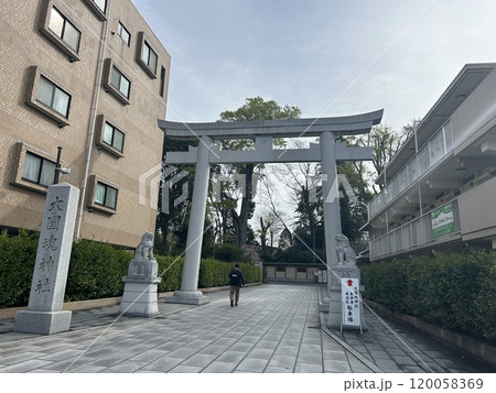 東京都府中市の神社、大國魂神社の小さい方の鳥居です。 東京都府中市の神社、大國魂神社の小さい方の鳥居です。 120058369
