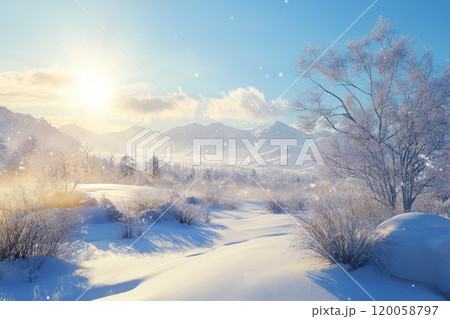 Beautiful winter forest landscape in sunny weather 120058797