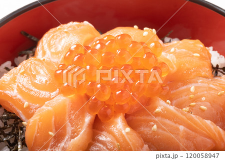 サーモン　いくら丼　 120058947