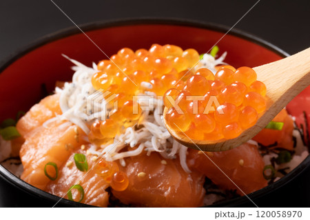 海鮮丼（サーモン　しらす　いくら） 120058970