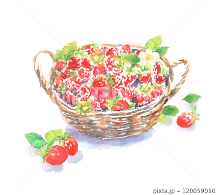 かごに盛られた苺の水彩イラスト 120059050