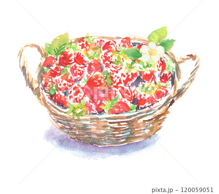 かごに盛られた苺の水彩イラスト かごに盛られた苺の水彩イラスト 120059051