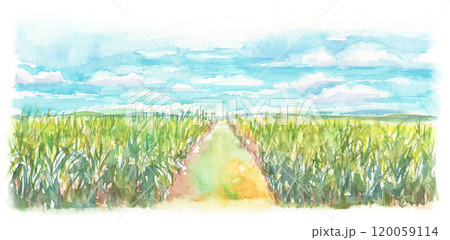 油絵 絵画 【サトウキビ畑の海】 絵画 HR 通販 15174714