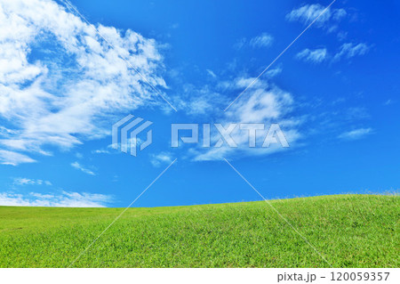 秋の青空と綺麗な草原風景 秋の青空と綺麗な草原風景 120059357