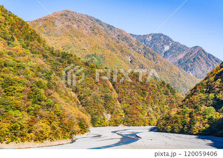 【静岡県】紅葉が美しい畑薙湖（大井川源流）　林道から眺める畑薙大吊橋（渡っている人が見える） 120059406