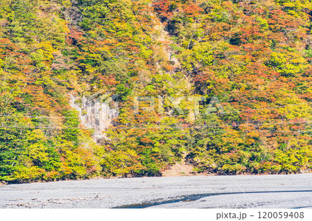 【静岡県】紅葉が美しい畑薙湖(大井川源流) 林道から眺める畑薙大吊橋(渡っている人が見える) 【静岡県】紅葉が美しい畑薙湖(大井川源流) 林道から眺める畑薙大吊橋(渡っている人が見える) 120059408