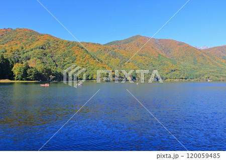 秋の木崎湖 120059485
