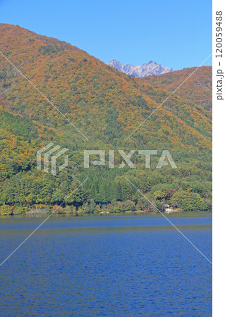 秋の木崎湖 120059488