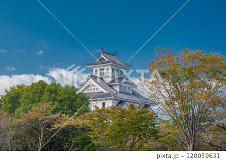 長浜市豊公園 長浜城歴史博物館 滋賀県長浜市 長浜市豊公園 長浜城歴史博物館 滋賀県長浜市 120059631