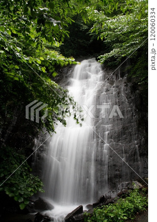 愛媛県東温市井川の琴の滝 120060334