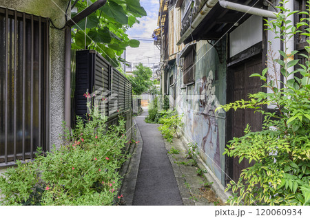 住宅街の通り 120060934