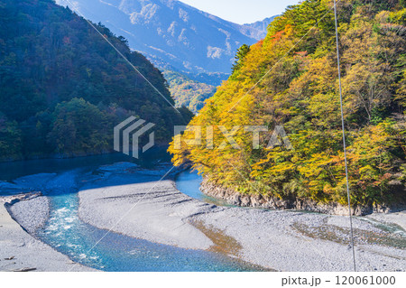 【静岡県】紅葉が美しい畑薙湖(大井川源流) 畑薙大吊橋から下流部の眺め 【静岡県】紅葉が美しい畑薙湖(大井川源流) 畑薙大吊橋から下流部の眺め 120061000